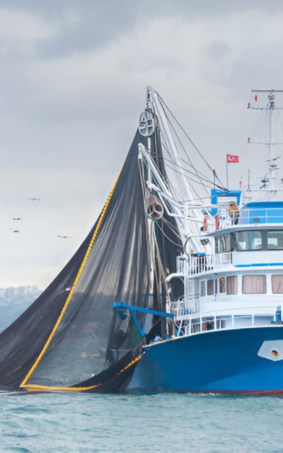 [Downloader.la]-6808b764b9111